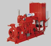 Generic placeholder thumbnail