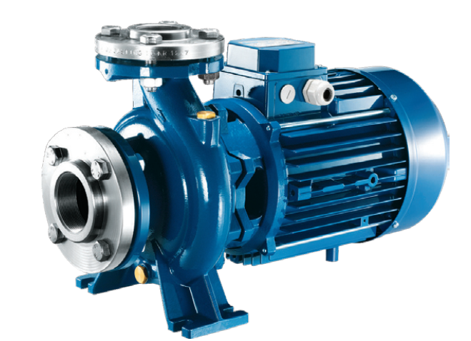 Generic placeholder thumbnail